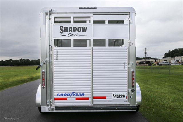 Photo 8 of 2016 Shadow Stock