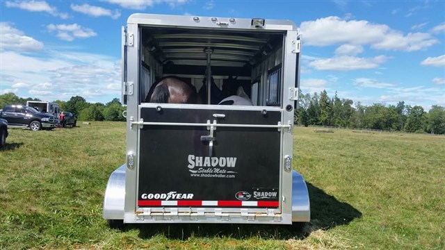 Photo 8 of 2017 Shadow Stablemate 2 horse trailer